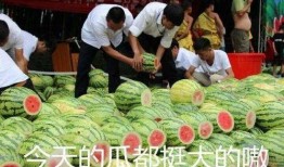 实锤吃瓜,揭秘娱乐圈那些不为人知的幕后真相