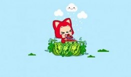 吃瓜少女阿狸,揭秘娱乐圈背后的故事