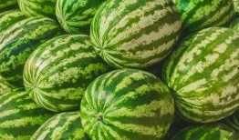 今日吃瓜热门大瓜在线吃瓜,在线吃瓜，揭秘娱乐圈最新动态