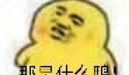 坐旁边吃瓜表情包,表情包里的社会百态