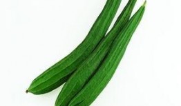 吃 瓜 女 配,甜蜜逆袭，甜蜜复仇