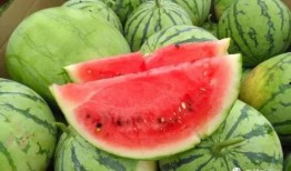 瓜的妈吃瓜,揭秘“瓜的妈吃瓜”背后的故事