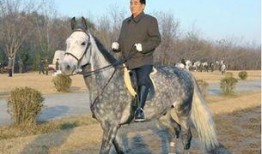 吃瓜妹骑马图片,一场别开生面的田园风情秀