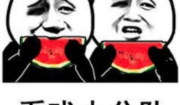 水产美人吃瓜表情包,表情包里的夏日风情