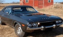 吃瓜挑战者,一场全民参与的趣味盛宴