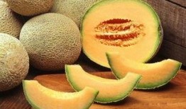 河北科技吃瓜,吃瓜群众揭秘科技界幕后故事