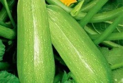 西秀吃瓜,揭秘娱乐圈幕后故事