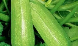 西秀吃瓜,揭秘娱乐圈幕后故事