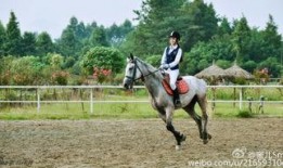 吃瓜妹骑马图片,一场别开生面的田园风情秀