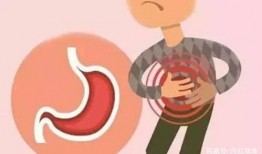 胖子吃瓜瘦子吃尿口诀,揭秘饮食与健康之谜