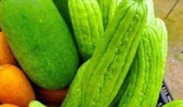 吃网瓜的好坏区别,一网打尽品质与口感差异