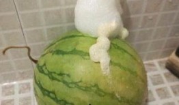 黄珏杰泡泡吃瓜,揭秘娱乐圈幕后故事