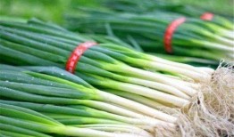 大晋朝吃瓜系统,揭秘吃瓜群众的智慧与趣味