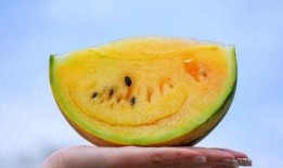 吃瓜被吃瓜,揭秘网络舆论场的双面世界