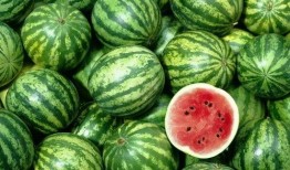 吃瓜被吃瓜,揭秘网络舆论场的双面世界