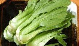 只吃青菜和瓜,探寻青菜与瓜果的养生奥秘