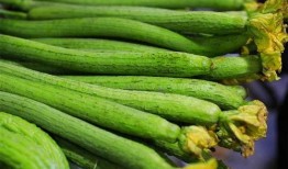 吃瓜王瓜皮,揭秘娱乐圈幕后故事