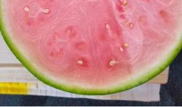 国外吃中国瓜,探寻中国瓜果的独特魅力