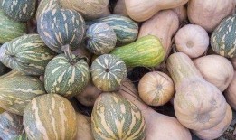 潮州庵埠女吃瓜,庵埠女吃瓜的民俗风情