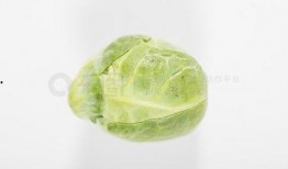 网络吃瓜照片模板下载,轻松下载，打造你的专属趣味内容