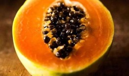 永年圆圆 吃瓜,揭秘吃瓜背后的故事与趣味