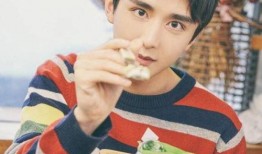 追星吃瓜王艳张新成,娱乐圈的甜蜜瓜田，揭秘追星背后的故事