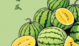 内蒙吃瓜视频,一场别开生面的吃瓜盛宴