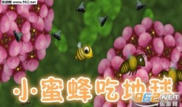 小蜜蜂吃瓜,小蜜蜂的甜蜜瓜果之旅