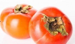 山东红衣女吃瓜,揭秘网络热议背后的真相