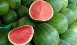 吃烧瓜咳嗽,揭秘美食与健康的小秘密