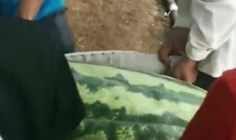 内蒙吃瓜视频,一场别开生面的吃瓜盛宴