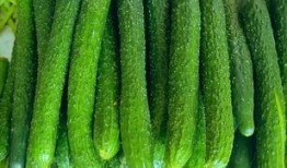 大瓜可以天天吃吗,每日畅享，健康生活新主张