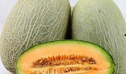 吃哈密瓜有助于消化么,天然水果的消化益处揭秘