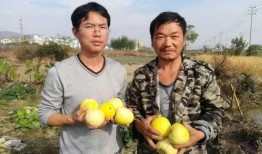 青羊区吃瓜群众,街头巷尾的市井百态