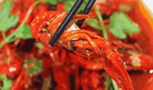 我在吃龙虾你们吃瓜,共享美食与欢乐时光