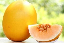 蜜瓜食品怎么吃,多样吃法，尽享夏日清新