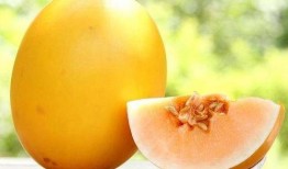 蜜瓜食品怎么吃,多样吃法，尽享夏日清新