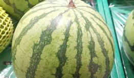 吃瓜大瓜图片,揭秘吃瓜大瓜背后的故事