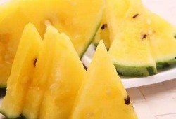 果老 扒皮 吃瓜吃瓜,揭秘娱乐圈的“吃瓜”真相