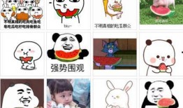 每天吃瓜的快乐,快乐生活，从吃瓜开始