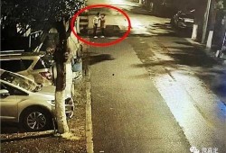 韩国吵架路人吃瓜,路人化身“吃瓜群众”现场直播