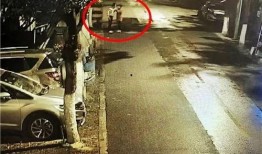 韩国吵架路人吃瓜,路人化身“吃瓜群众”现场直播