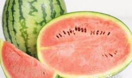 腹泻式吃瓜,揭秘网络热词背后的趣味与反思