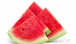 腹泻式吃瓜,揭秘网络热词背后的趣味与反思