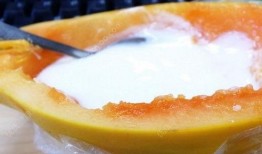 小熊吃酸奶包瓜,小熊的酸奶包瓜美食之旅