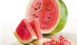 吃瓜神子,网络红人的崛起与影响力