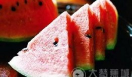 吃瓜群众沙茶俱乐部,一场全民参与的趣味盛宴