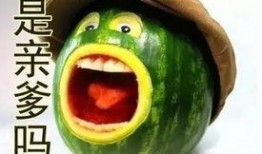 吃瓜吃的就剩皮,揭秘吃瓜背后的故事