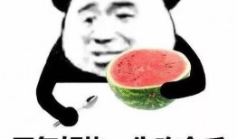 请你吃瓜御,揭秘“请你吃瓜御”背后的故事与魅力