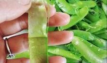 诺诺壳壳吃瓜,揭秘娱乐圈幕后故事